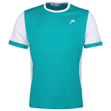 Tenis - Pánské tenisové tričko Head Davies T-Shirt, turquoise/white