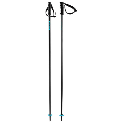 Lyžařské hole Head Multi 2023/24, black/speed blue