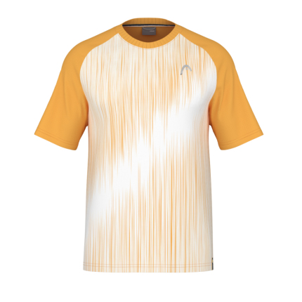 Pánské tenisové tričko Head Performance T-Shirt, print perf/banana